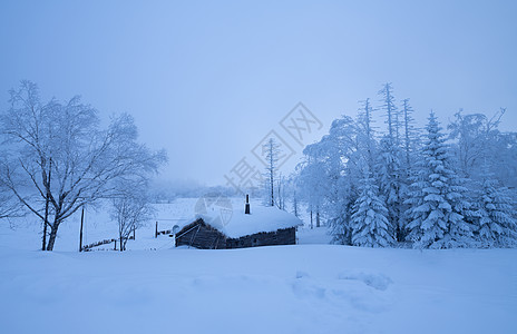 长白山冬天吉林长白山雪岭国家森林公园背景