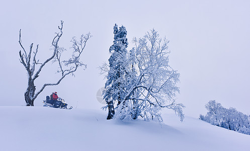 冬天开车吉林长白山雪岭国家森林公园东北冰雪世界骑雪摩托背景