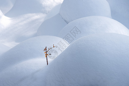 南岭国家森林公园吉林龙湾群国家森林公园东北冰雪特写背景