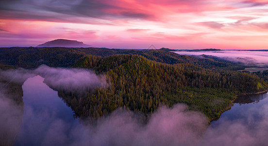 秋季banner秋天的风景背景