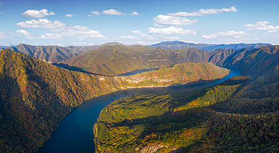 枫叶水墨秋天的风景背景