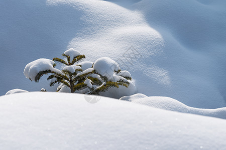 伊春库尔滨大平台村东北冰雪世界风光背景图片