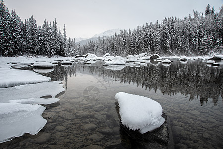 雪后松林新疆喀纳斯冬季雪景河流松林背景