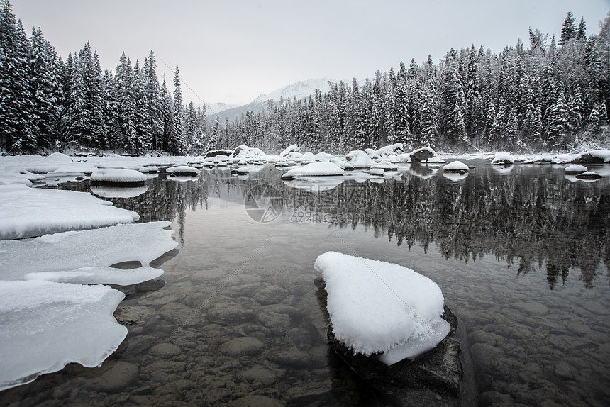 新疆喀纳斯冬季雪景河流松林图片