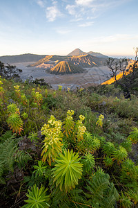 印尼布罗莫火山图片