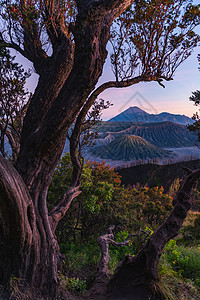 印尼布罗莫火山图片