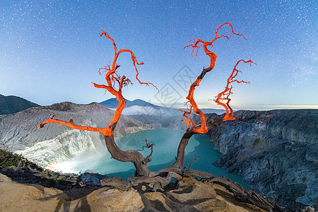 火山湖壁纸印尼宜珍火山上奇特的树背景