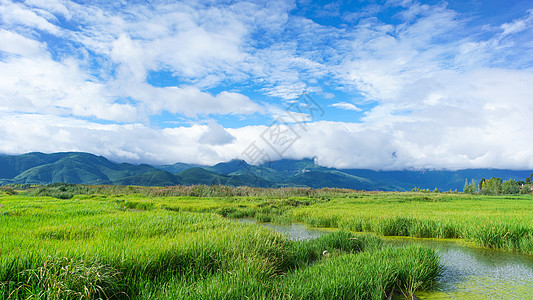 草海风光云南地区泸沽湖的草海背景