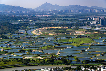 深圳罗湖区鱼塘背景