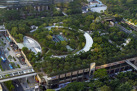 深圳金融中心的外景背景图片