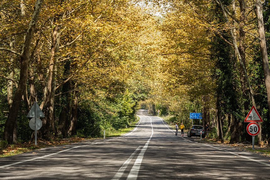 土耳其北部乡间公路图片