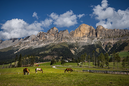 意大利阿尔卑斯山牧马牧场图片