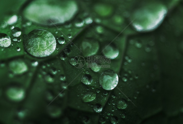 雨水节气高清图库