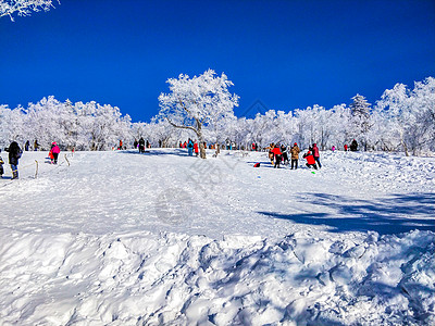 黑龙江雪乡美景高清图片