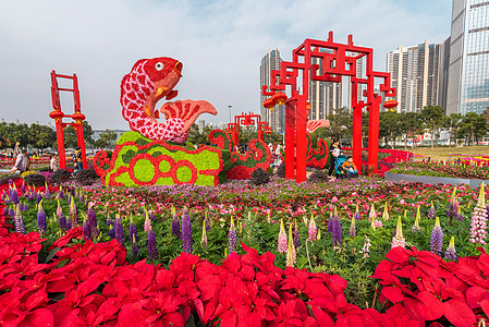 深圳宝安区迎春花市背景图片