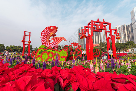 深圳宝安区迎春花市背景图片