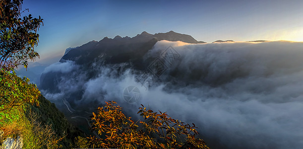 格所河峡谷晨雾图片