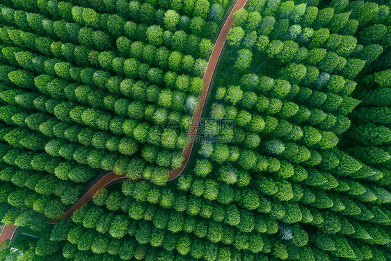 航拍湿地绿洲图片