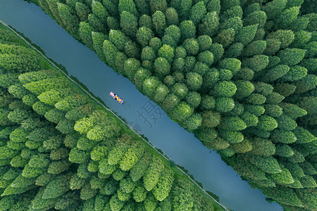 海边森林世界遗产黄海湿地背景