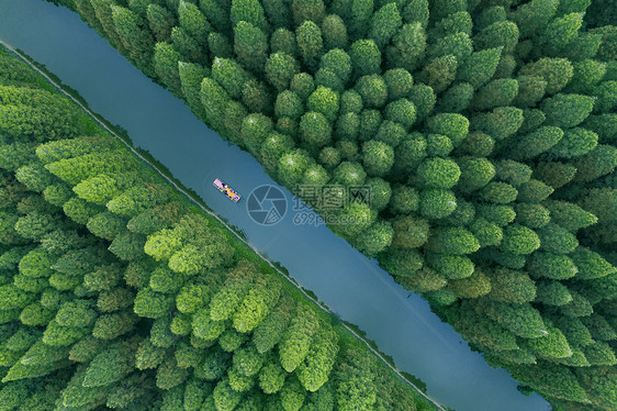 世界遗产黄海湿地图片