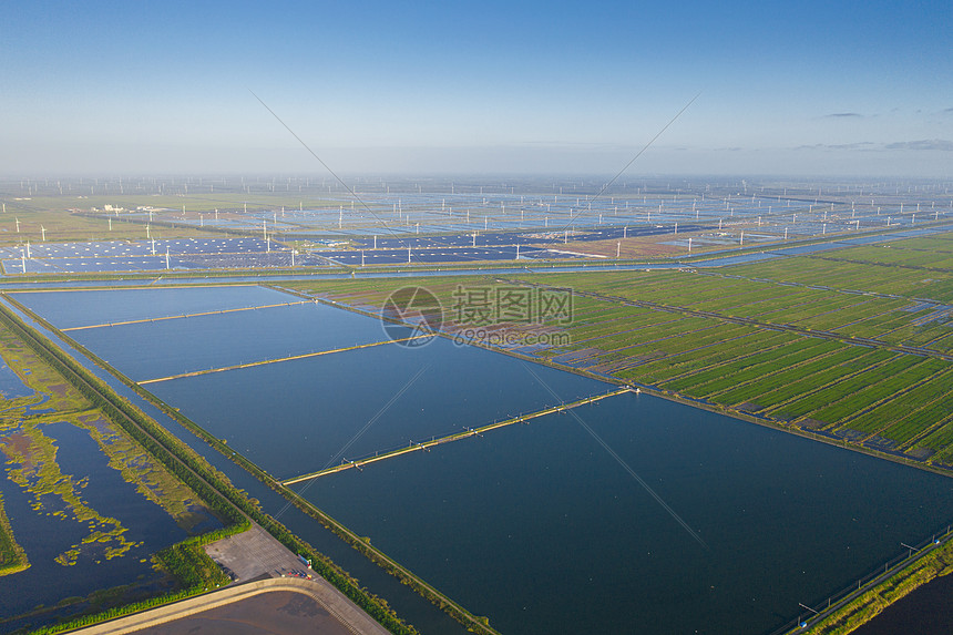 世界遗产黄海湿地图片