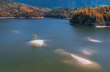 黄山市黟县宏村镇宏村奇墅湖之秋背景