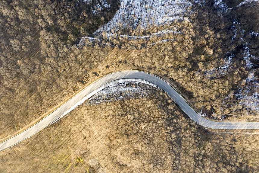 原始森林道路图片