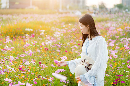 手拿帽子的花海少女图片