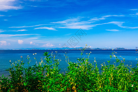 深圳光明新区杨梅坑风光背景