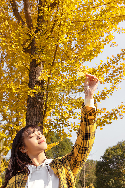 银杏树下手捧银杏叶的女孩图片