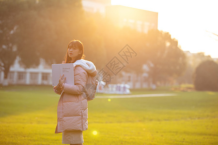 夕阳下的女大学生读书侧影高清图片