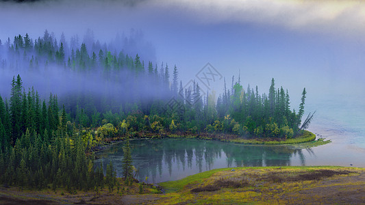 新疆喀纳斯神仙湾晨雾背景