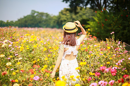 春暖花开踏春野菊花丛中美女背影赏花背景