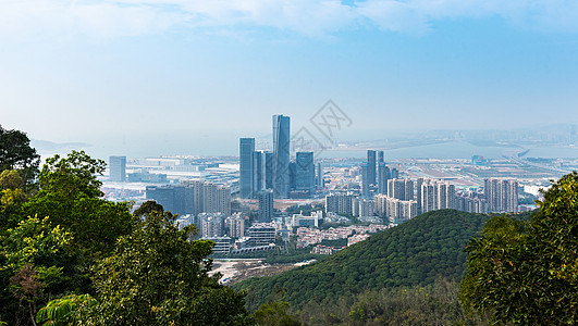 深圳南山区建筑群背景图片