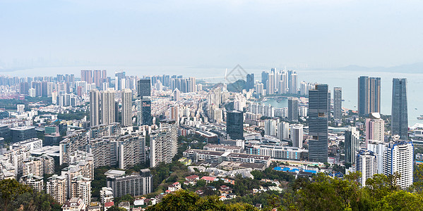 深圳南山区建筑群背景图片