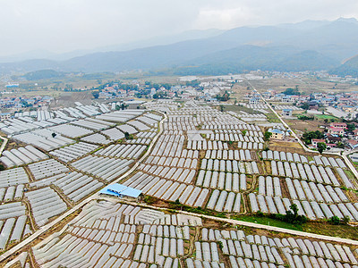 航拍农业种植基地图片