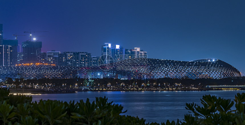 夜景深圳春茧体育图片