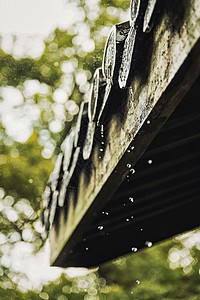 屋檐雨水杭州灵隐寺春天下雨的寺庙屋檐背景