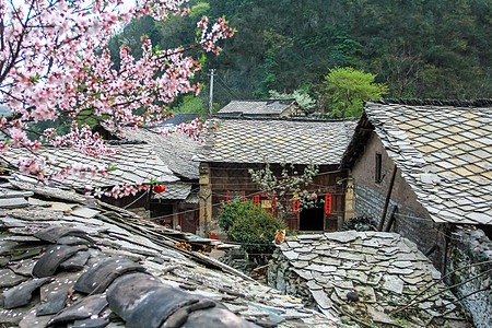 天龙屯堡春到石板房背景