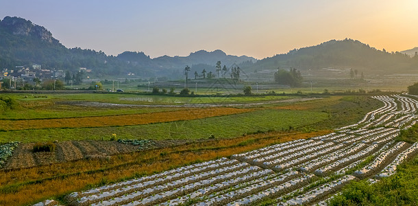 兴坪镇田园晨曲背景