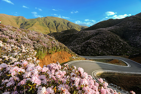 乌蒙大草原生态公路背景