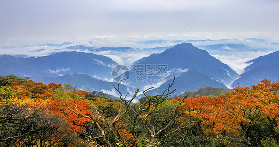 梵净山下秋色图片