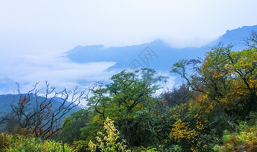 赏秋梵净山下景色背景