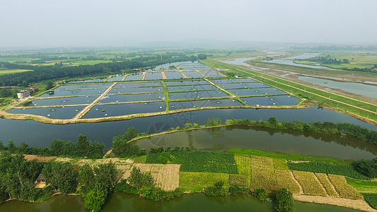 水产店湖南养虾基地背景