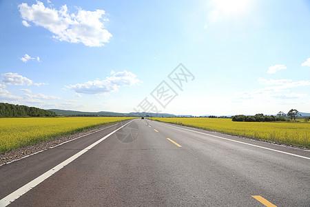 根河草原花海公路高清图片