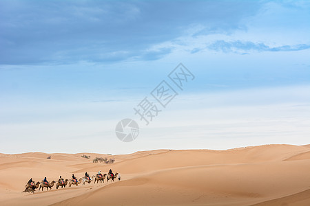 一带一路高峰论坛宁夏沙坡头沙漠驼队背景