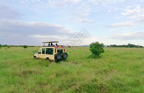 肯尼亚草原非洲肯尼亚马赛马拉自然保护区风光背景