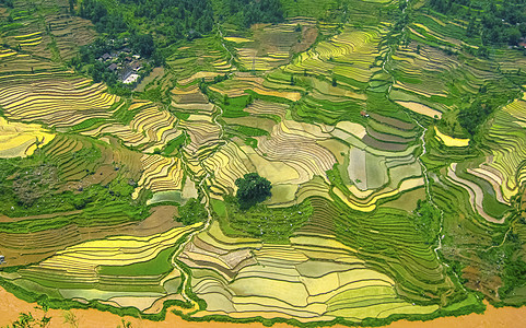 贵州梯田保基梯田背景