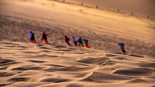 戈壁骆驼敦煌沙漠背景