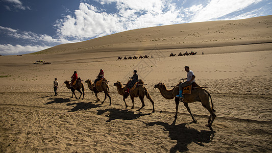 敦煌骑行骆驼背景图片